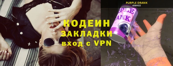 ГАЛЛЮЦИНОГЕННЫЕ ГРИБЫ Верея