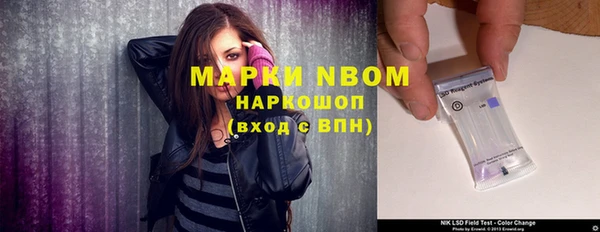 ГАЛЛЮЦИНОГЕННЫЕ ГРИБЫ Верея