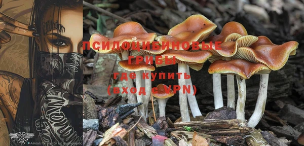 эйфоретик Бронницы