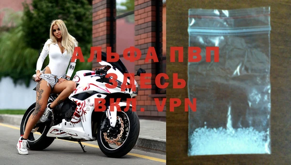 ГАЛЛЮЦИНОГЕННЫЕ ГРИБЫ Верея