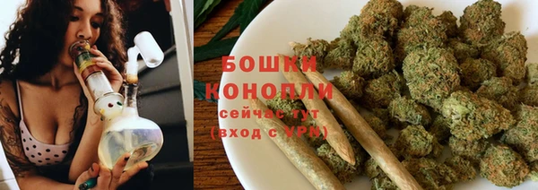 ГАЛЛЮЦИНОГЕННЫЕ ГРИБЫ Верея