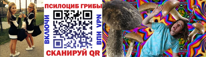 Псилоцибиновые грибы MAGIC MUSHROOMS  нарко площадка клад  Гай  MEGA tor 
